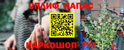 гидра Пугачёв