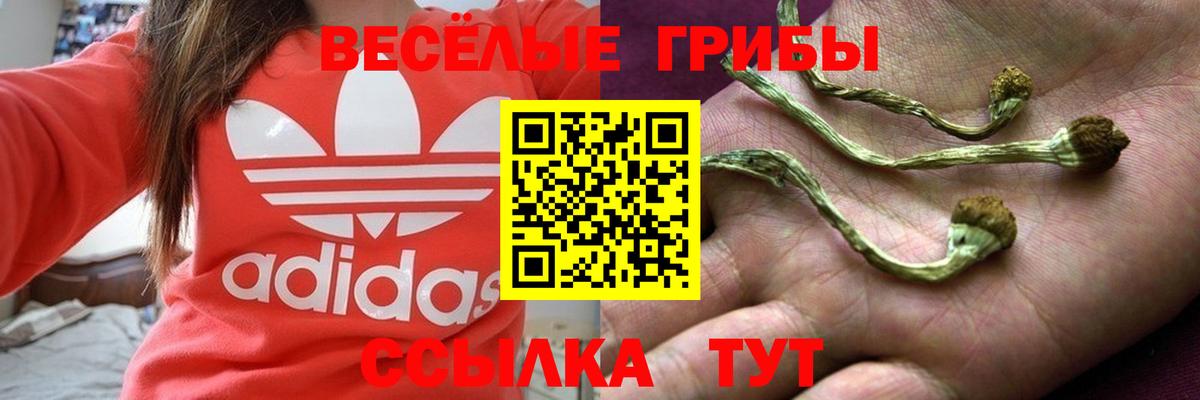 Псилоцибиновые грибы мухоморы Пыть-Ях